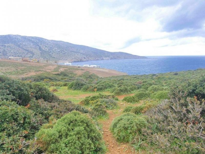 Pelagia Kreta, Ag. Pelagia, Grundstück 44.000m² mit unverbaubarem Meerblick Grundstück kaufen